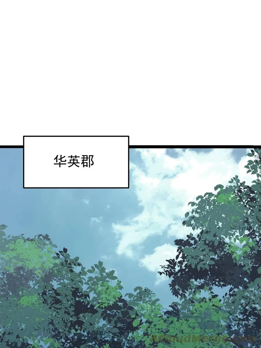 127 拍卖时坑人 第46页
