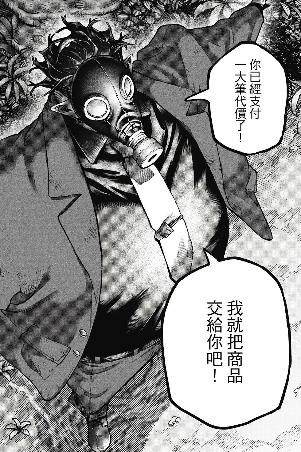 第13卷 第41页