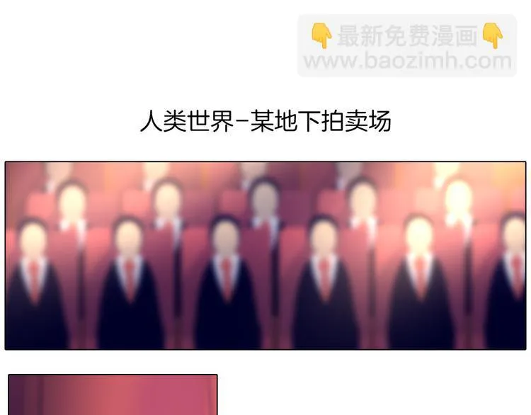 第38话 拍卖会 第3页