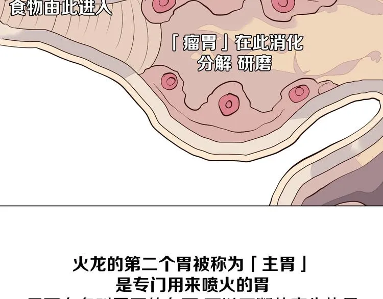 第33话 我相信善良的龙少女 第60页
