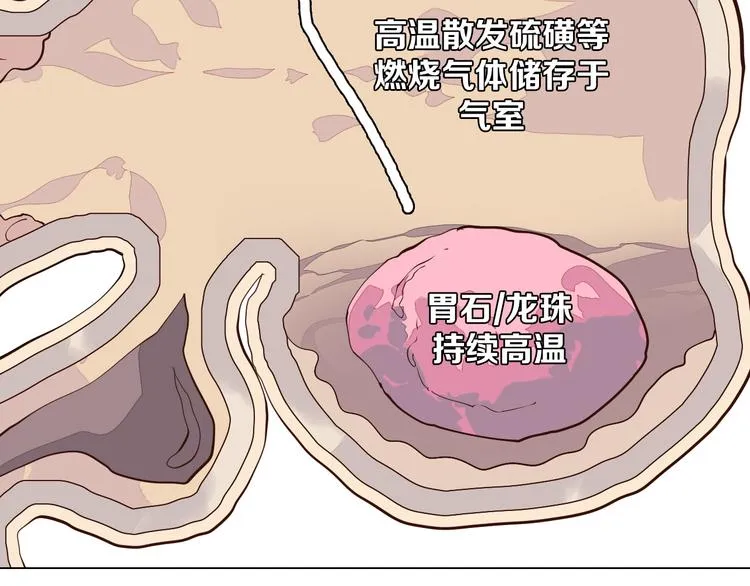 第33话 我相信善良的龙少女 第62页