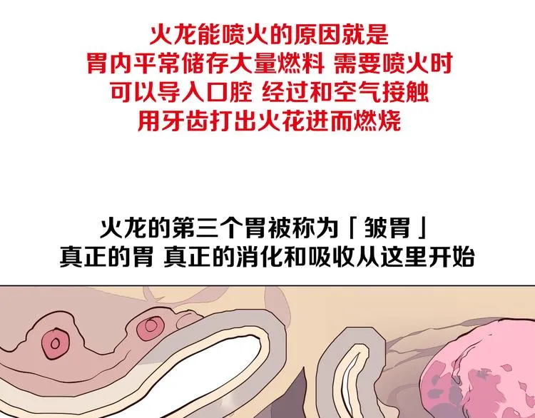 第33话 我相信善良的龙少女 第63页
