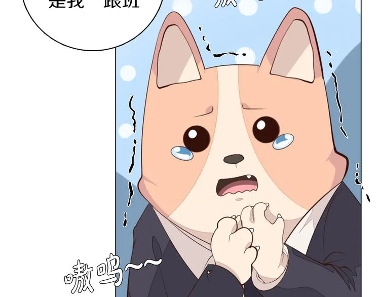 第23话 签合同 第11页
