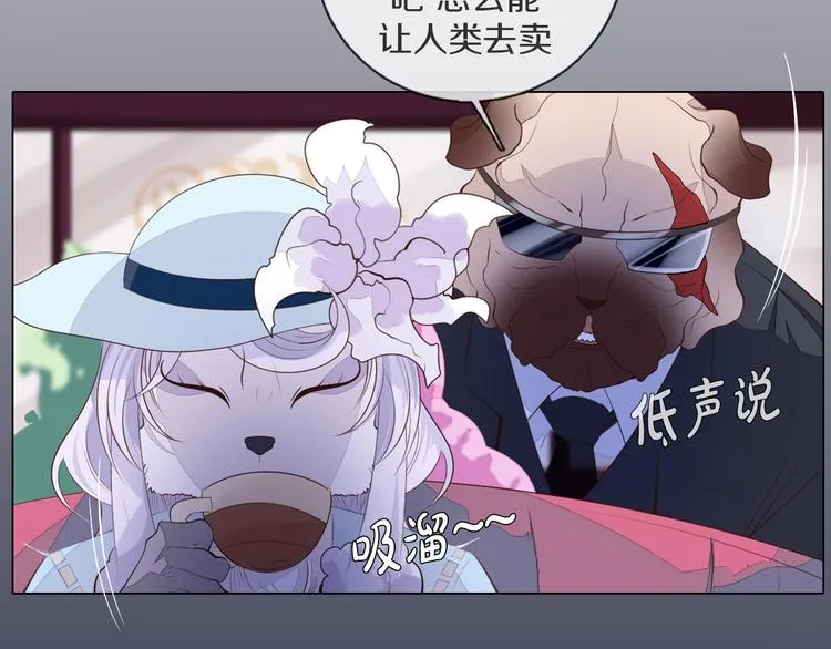 第23话 签合同 第66页