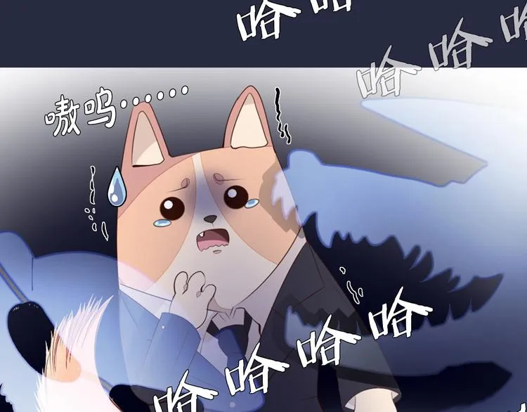 第23话 签合同 第72页