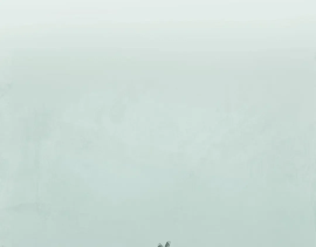 第17话 点击习得武功 第50页