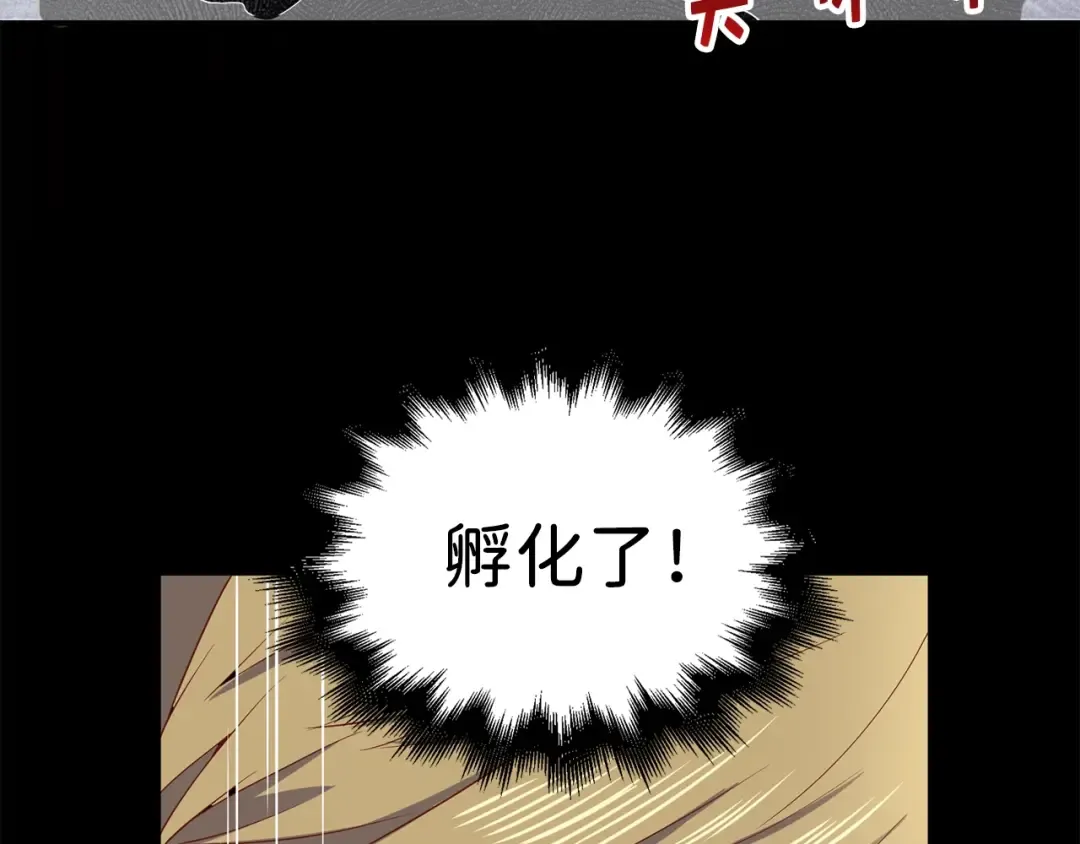 第29话 破壳 第156页