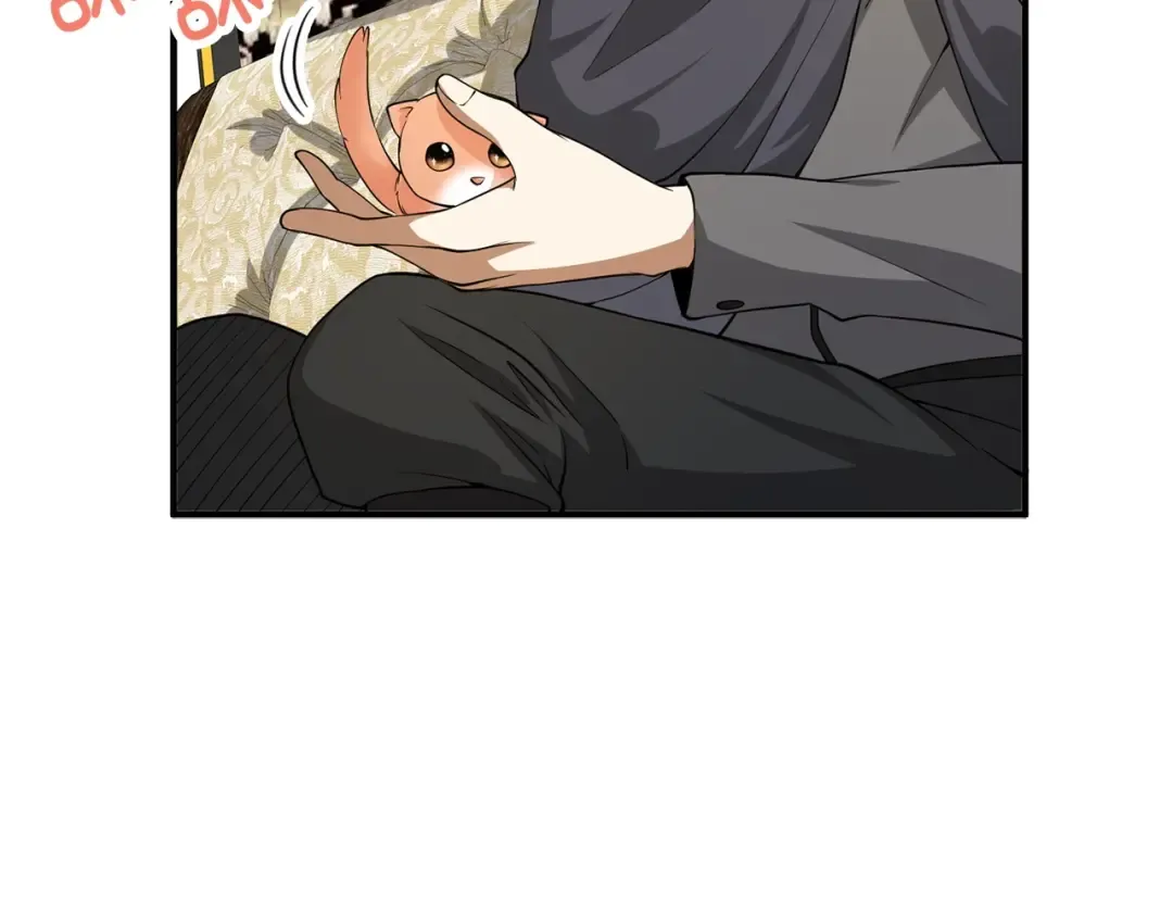 第30话 宠物贴贴 第19页