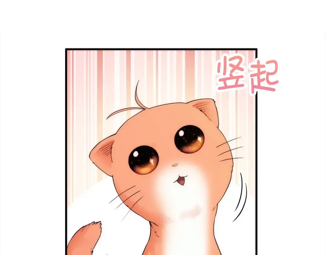 第31话 社交之星 第44页