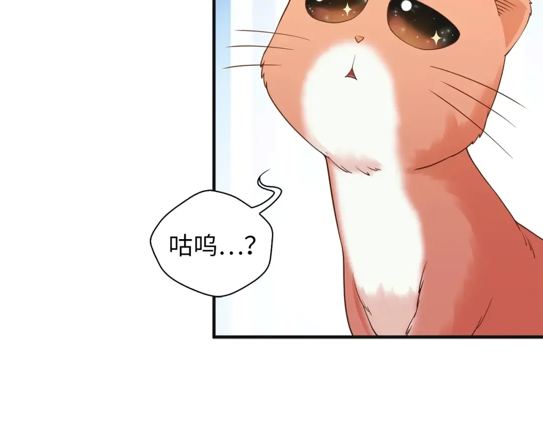 第38话 你能变成剑吗 第5页