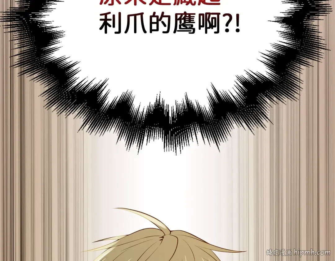 第69话 藏起利爪的鹰 第216页
