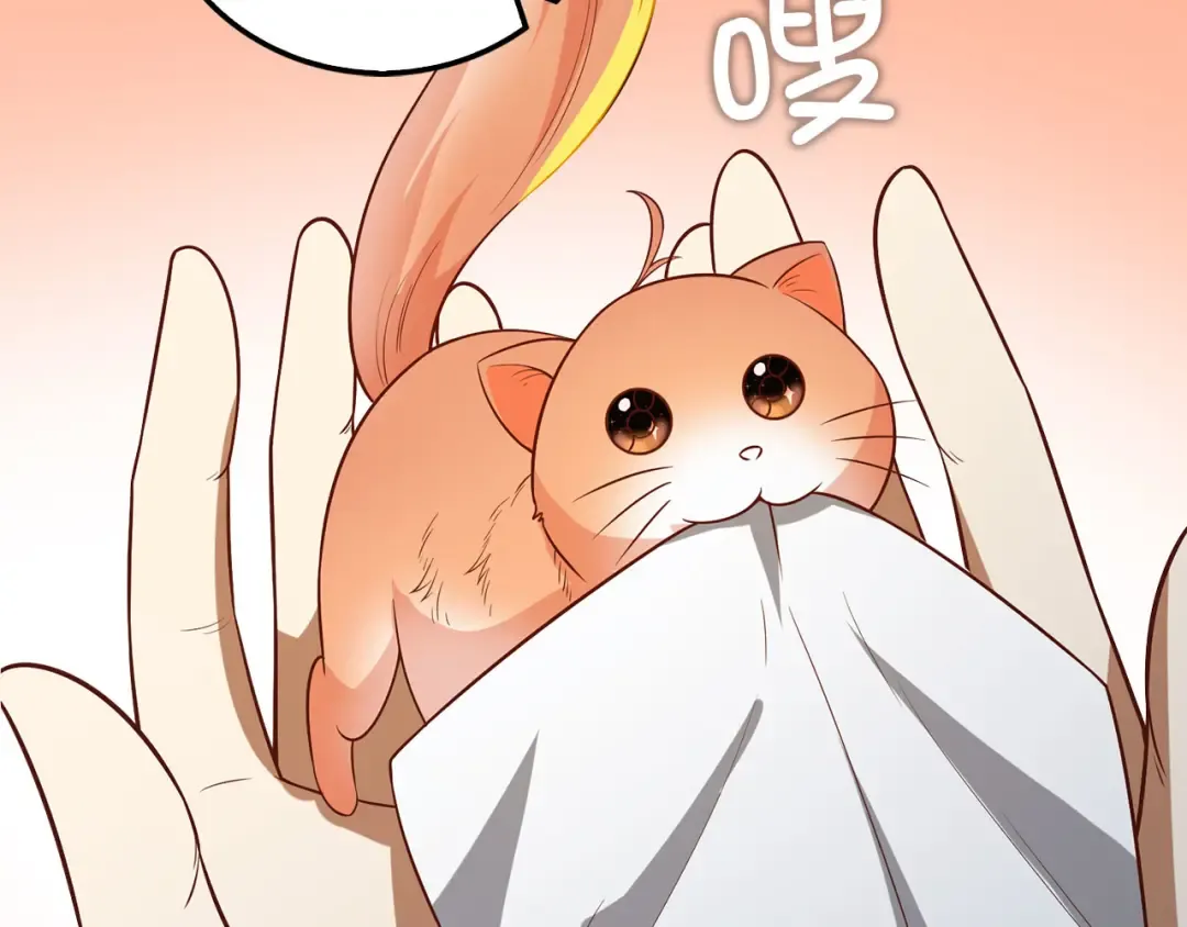 第97话 说服 第237页
