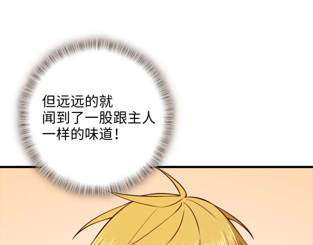 第102话 家人 第115页