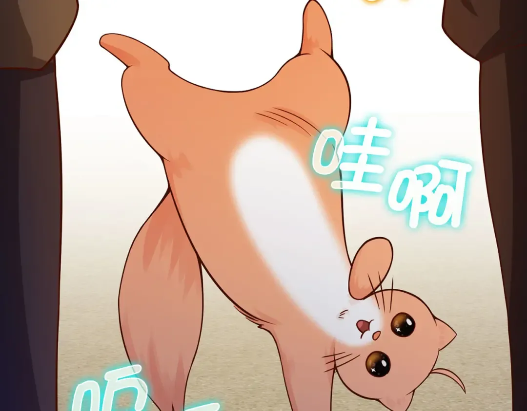 第102话 家人 第225页