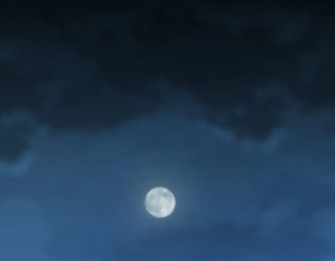 第123话 月之精灵师 第97页