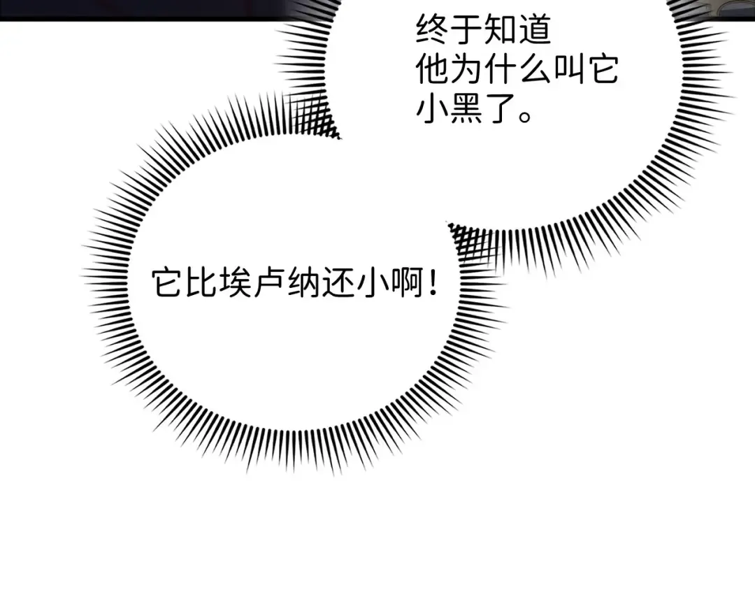 第131话 高级精灵 第137页