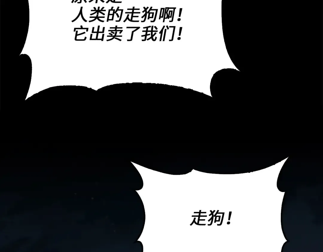 第164话 精灵居住地 第207页