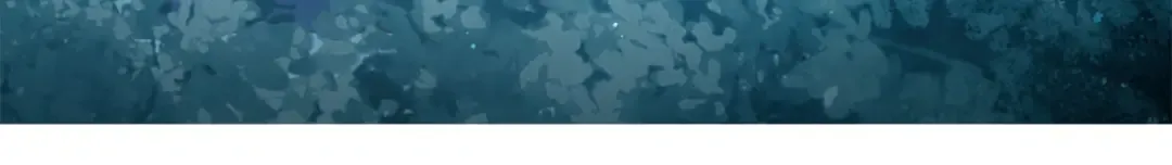 第165话 精灵族的没落 第40页