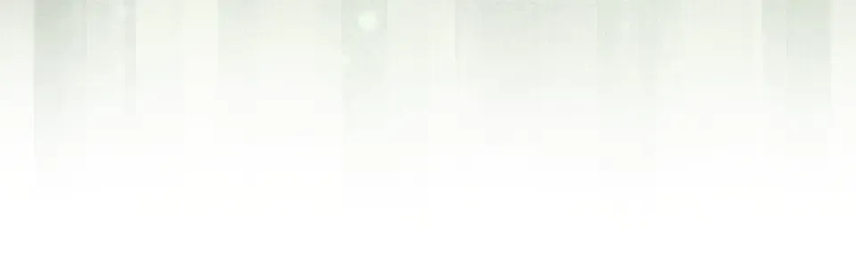 第185话 吃尽当光 第84页