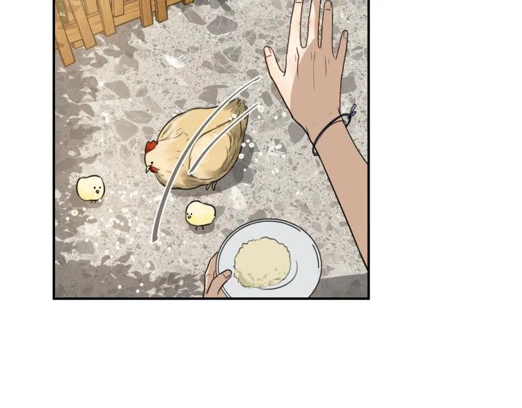第十六话 上综艺 第43页