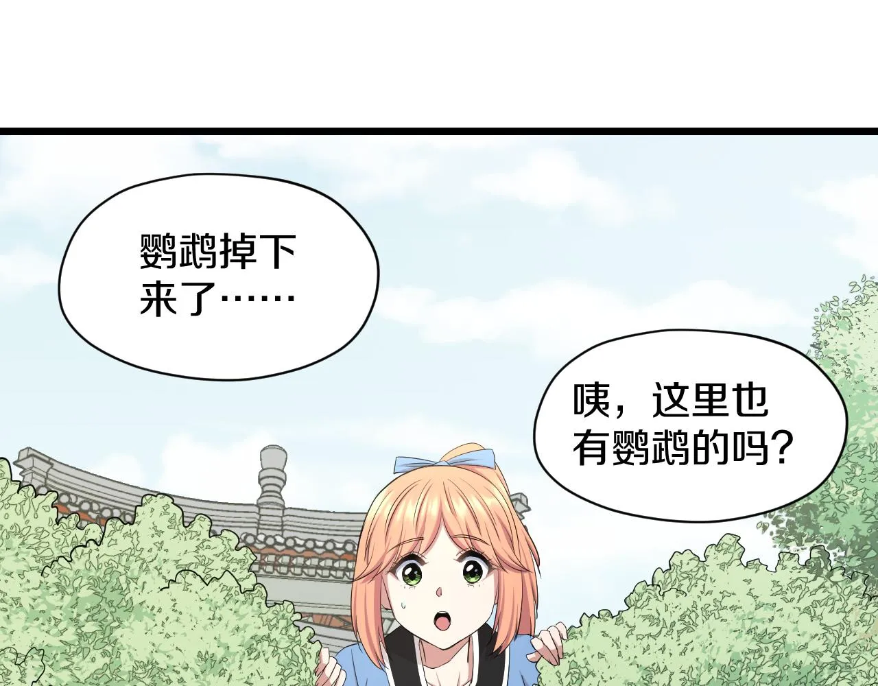 第26话 小鹉 第51页