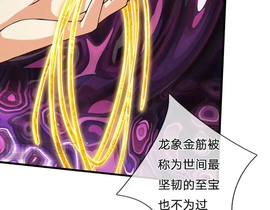 第284话 龙象金筋，坚韧至宝 第102页