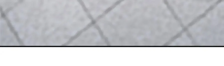 第302话 终究是徒劳 第70页