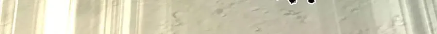 第316话 神王蛟龙，胜之不武 第104页