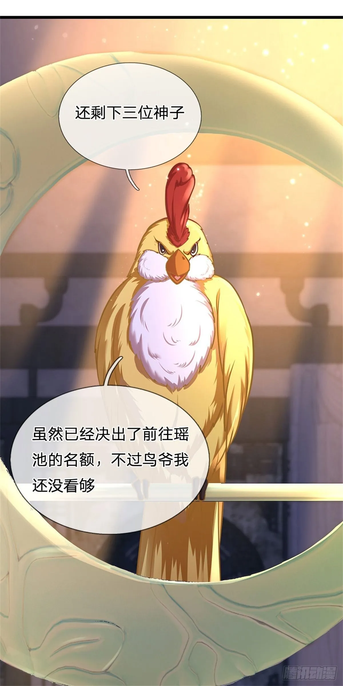 第35话 鸟爷我还没看够 第17页