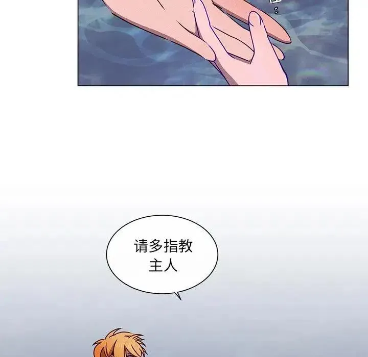 63 第48页