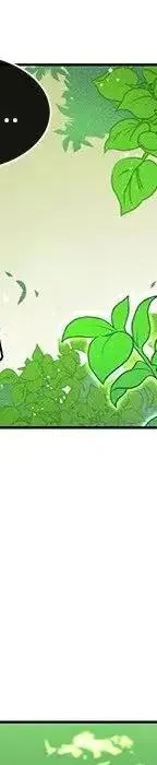 47 第38页