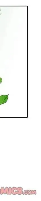 47 第50页
