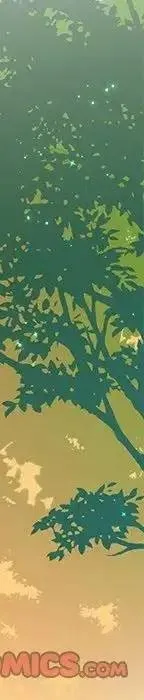 47 第70页