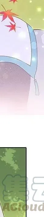 47 第85页