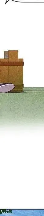 46 第164页