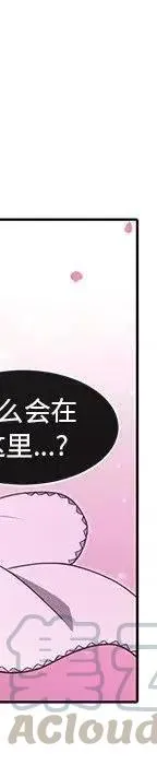 46 第205页