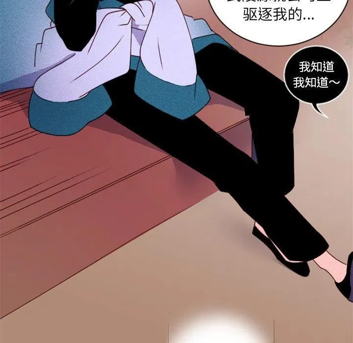 17 第8页