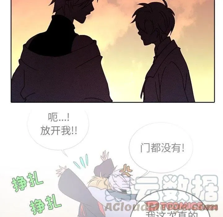 19 第19页