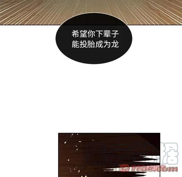 43 第31页
