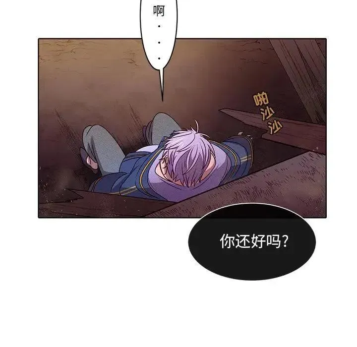 43 第45页