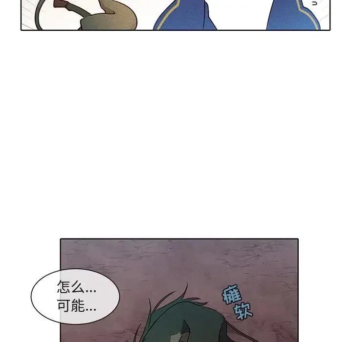 43 第51页