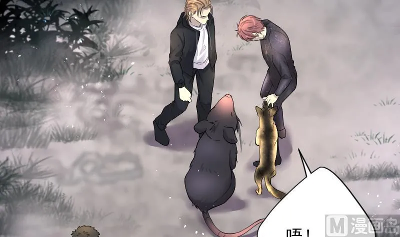 第259话 地下龙城 4 第72页