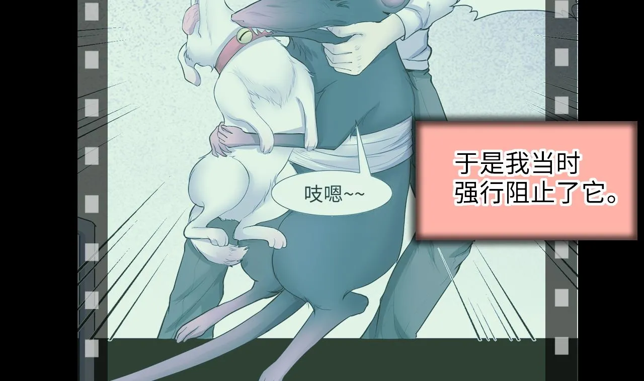 第310话 记者发布会 1 第11页
