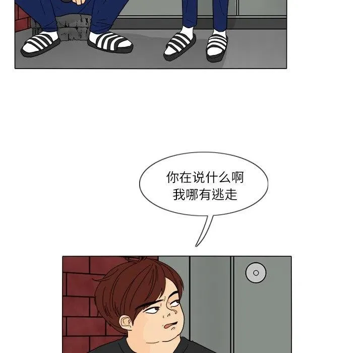 26 第24页