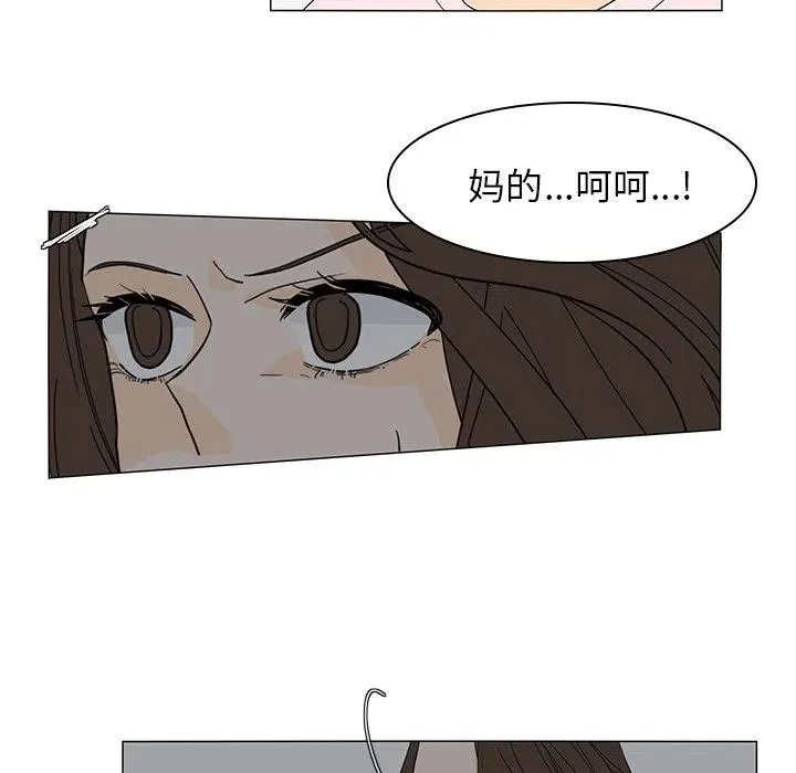 51 第44页