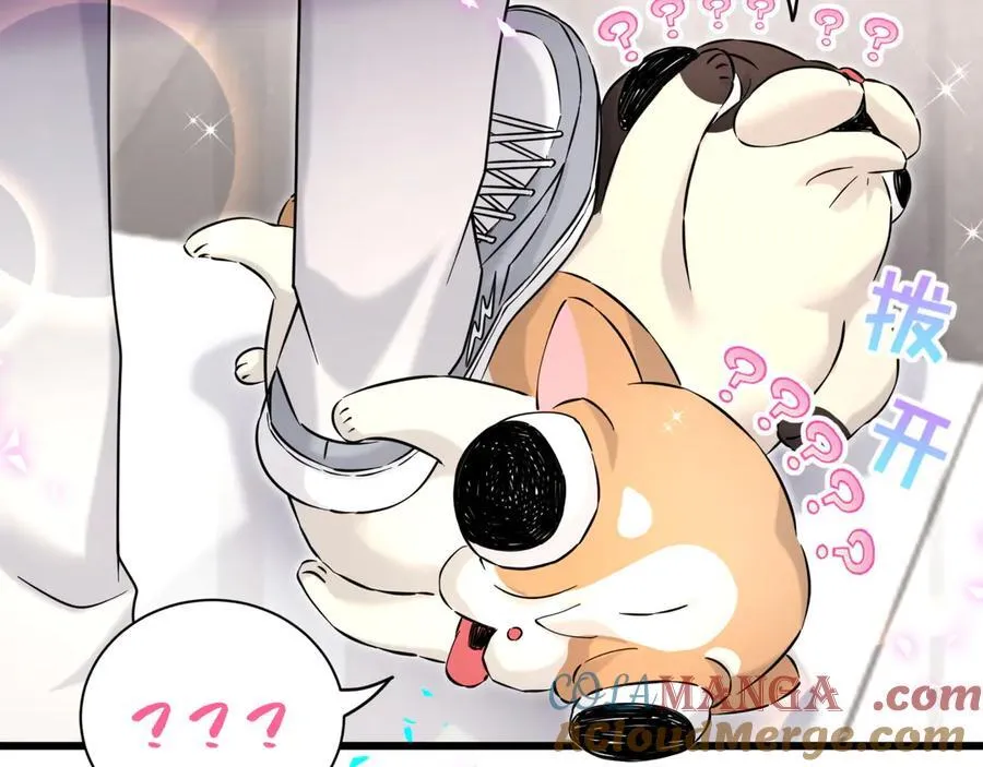 第287话 家有恶犬 第69页