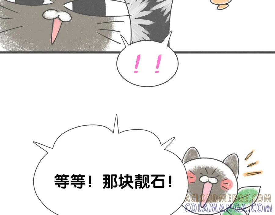 后记 第13页