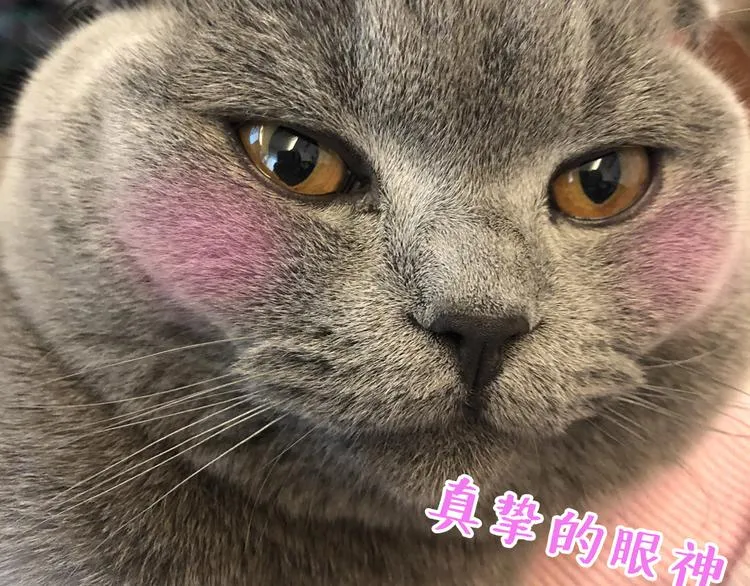 第27话 登门拜访咯~ 第132页