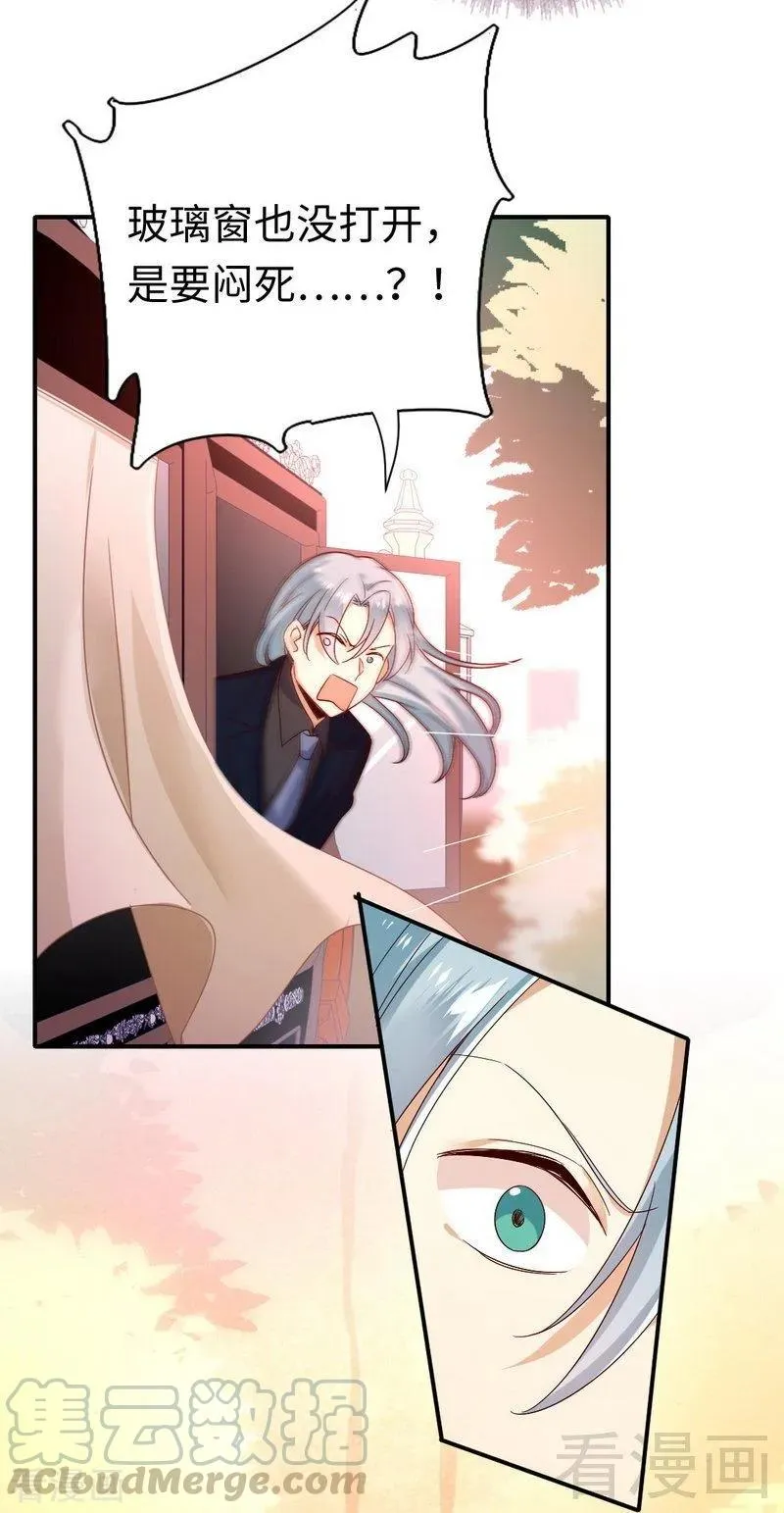 第134话 行刺？ 第17页