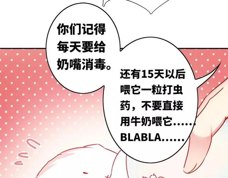 第15话 珍惜 第13页
